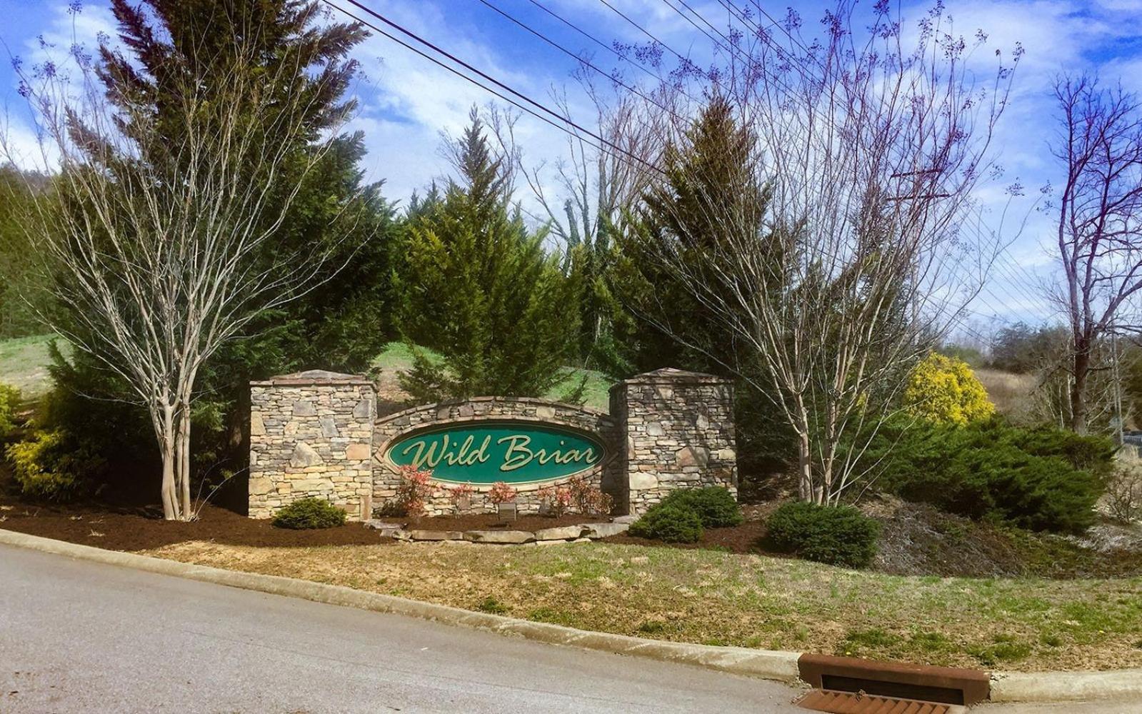 Splash Mansion Sevierville Luaran gambar